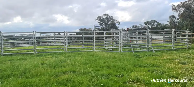Fifth view of Homely rural property listing, Lot 1022 Healy Road, Narrikup WA 6326