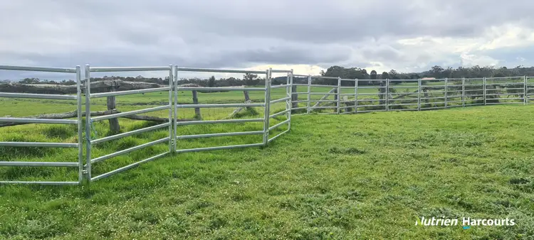 Sixth view of Homely rural property listing, Lot 1022 Healy Road, Narrikup WA 6326
