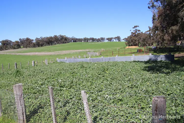 Sixth view of Homely rural property listing, "Parke's" Leys Road, Lexton VIC 3352