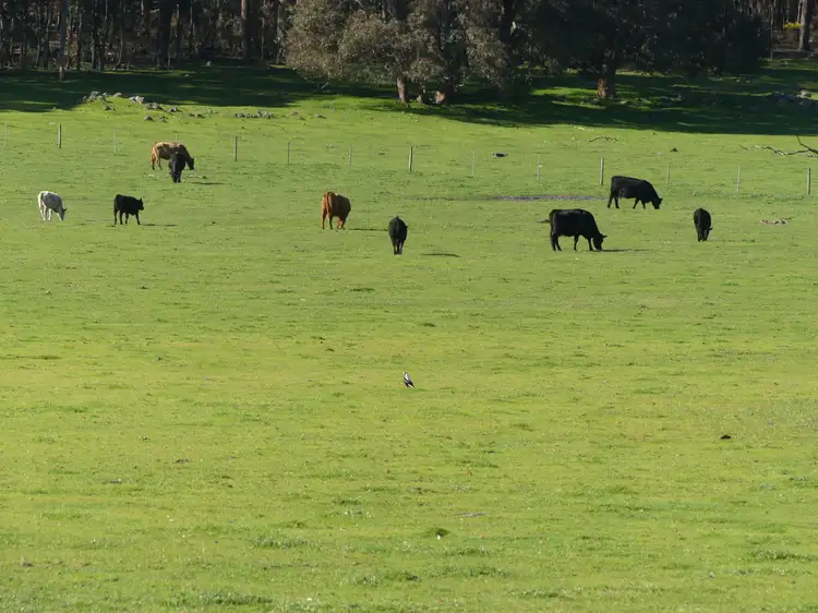 Main view of Homely rural property listing, Lot 901 Old Glentulloch Road, Kingston WA 6256