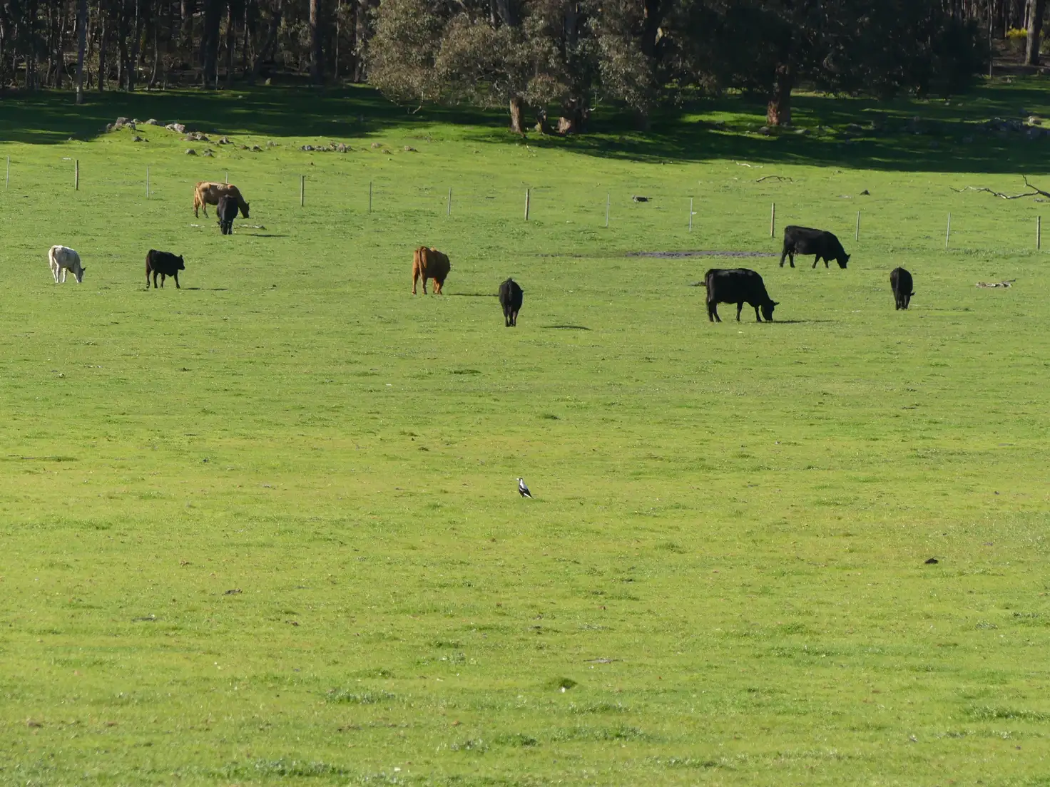 Main view of Homely rural property listing, Lot 901 Old Glentulloch Road, Kingston WA 6256