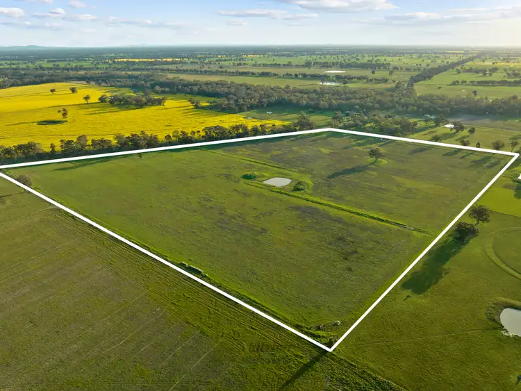 Fifth view of Homely rural property listing, Lot 6,7,8,9,10/509 Pine Lodge Road, Miepoll VIC 3666