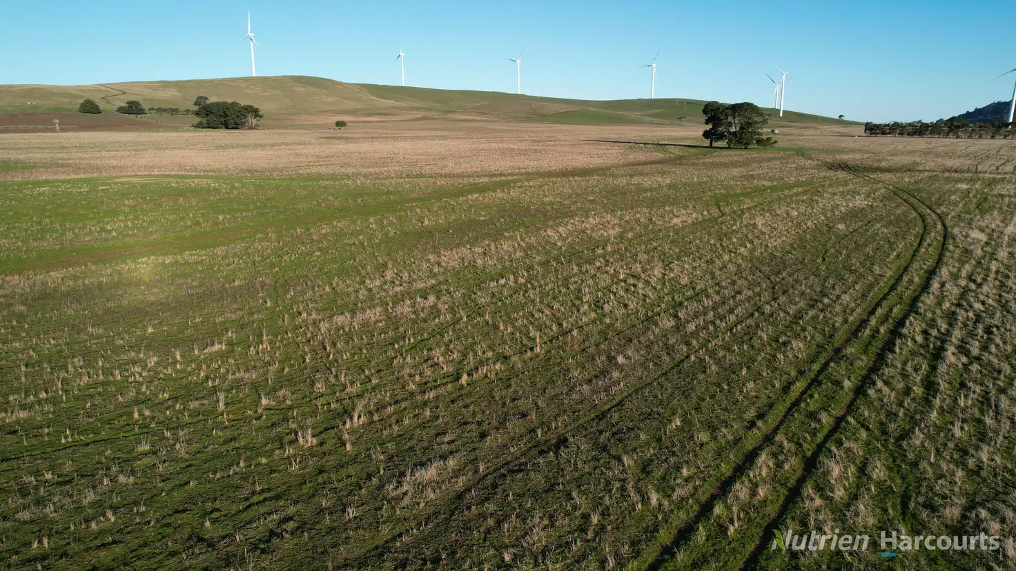 Main view of Homely rural property listing, Lot 4/955 Beaufort-Waubra Road, Waubra VIC 3352
