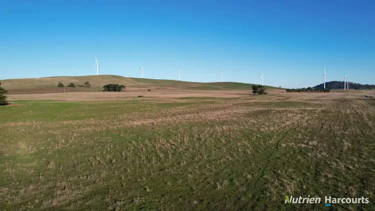 Third view of Homely rural property listing, Lot 4/955 Beaufort-Waubra Road, Waubra VIC 3352
