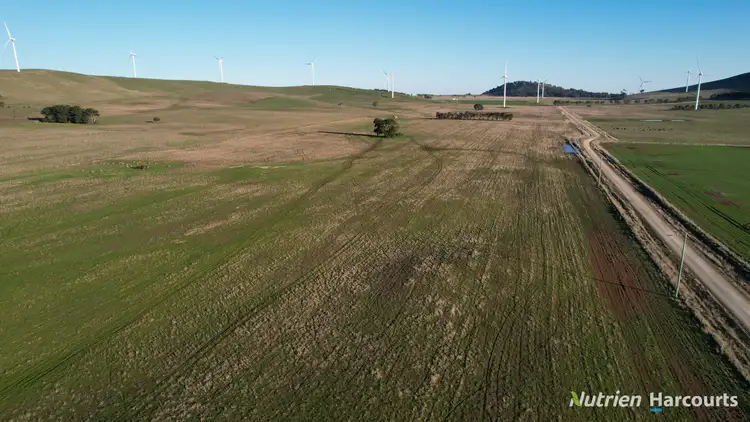 Fourth view of Homely rural property listing, Lot 4/955 Beaufort-Waubra Road, Waubra VIC 3352