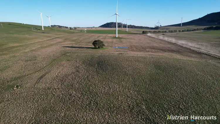 Sixth view of Homely rural property listing, Lot 4/955 Beaufort-Waubra Road, Waubra VIC 3352