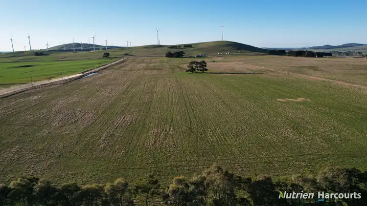 Seventh view of Homely rural property listing, Lot 4/955 Beaufort-Waubra Road, Waubra VIC 3352