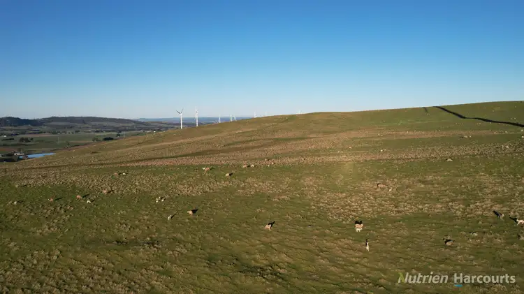 Fifth view of Homely rural property listing, 5/955 Beaufort-Waubra Road, Waubra VIC 3352