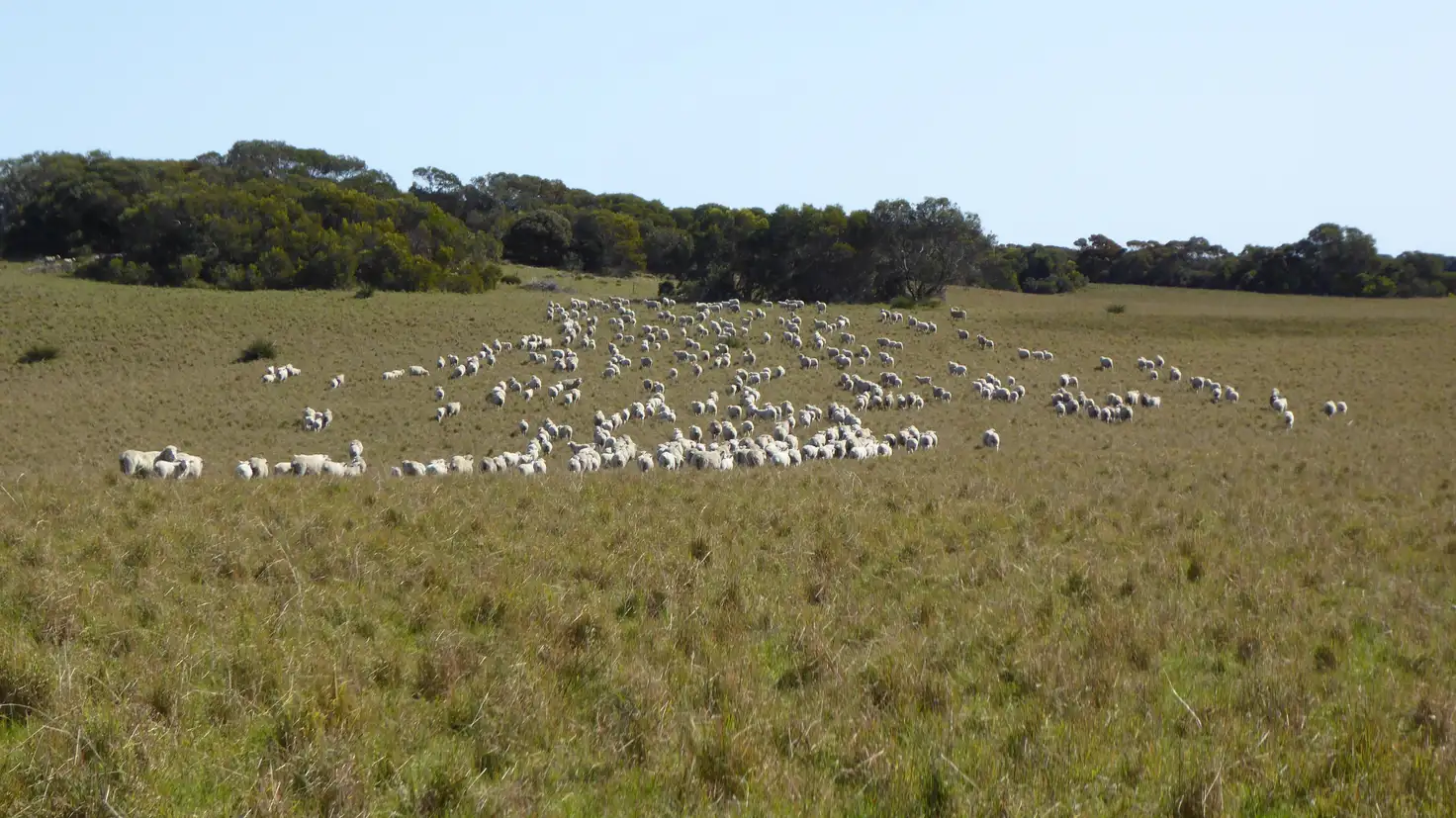 Main view of Homely rural property listing, 882 Field Road, Field SA 5265