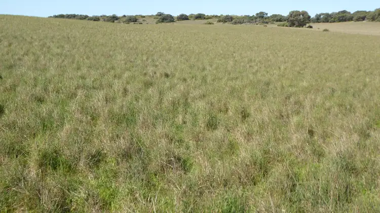 Second view of Homely rural property listing, 882 Field Road, Field SA 5265