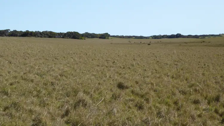 Third view of Homely rural property listing, 882 Field Road, Field SA 5265