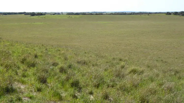 Sixth view of Homely rural property listing, 882 Field Road, Field SA 5265