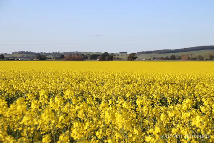 Third view of Homely rural property listing, Lot 6/1012 Beaufort-Waubra Road, Waubra VIC 3352