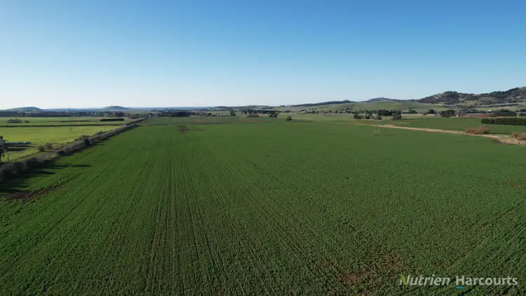 Fifth view of Homely rural property listing, Lot 6/1012 Beaufort-Waubra Road, Waubra VIC 3352