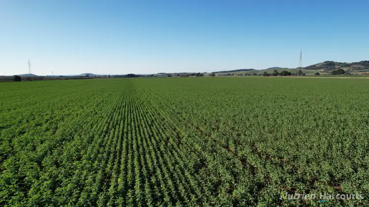 Seventh view of Homely rural property listing, Lot 6/1012 Beaufort-Waubra Road, Waubra VIC 3352