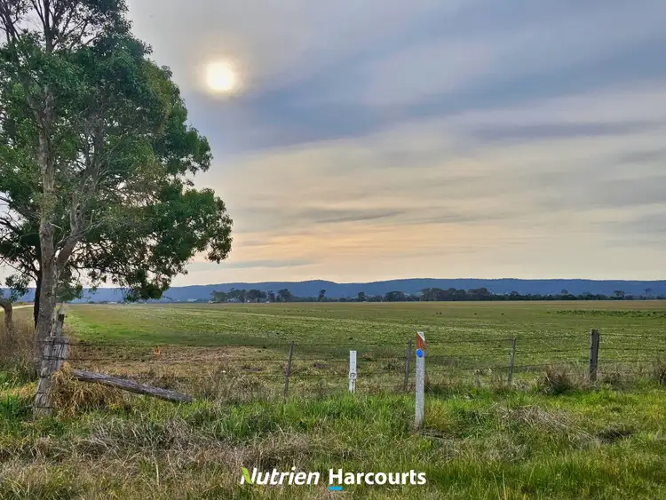 Second view of Homely rural property listing, 10 Afflecks Road, Toongabbie VIC 3856