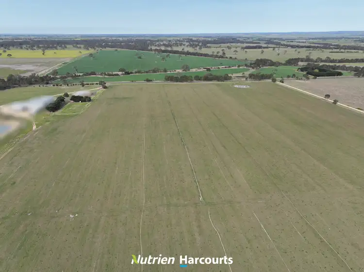 Seventh view of Homely rural property listing, 10 Afflecks Road, Toongabbie VIC 3856