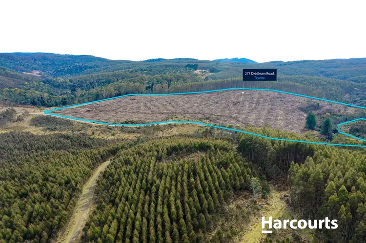 Main view of Homely land listing, 277 Diddleum Road, Tayene TAS 7259