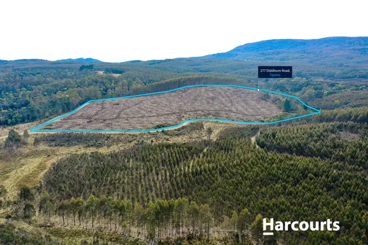 Second view of Homely land listing, 277 Diddleum Road, Tayene TAS 7259