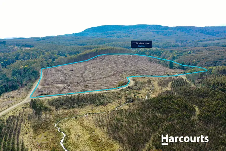 Third view of Homely land listing, 277 Diddleum Road, Tayene TAS 7259