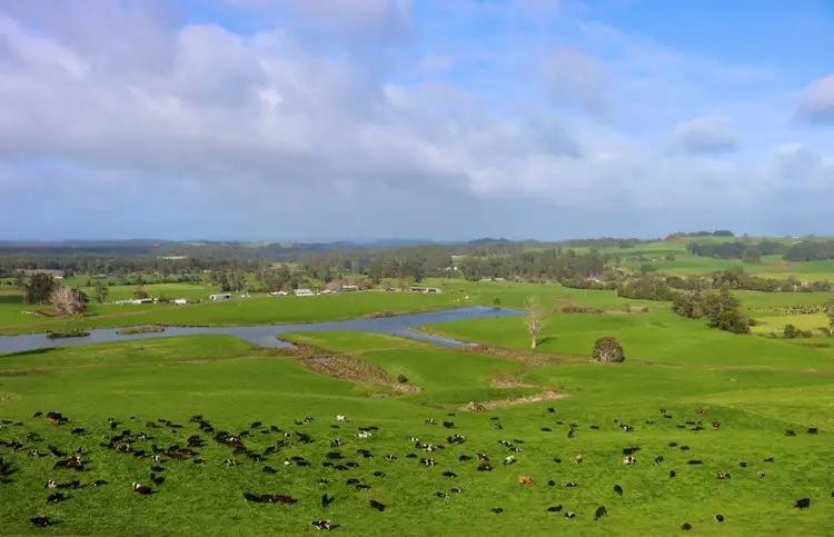 186 Preolenna Road, Flowerdale TAS 7325