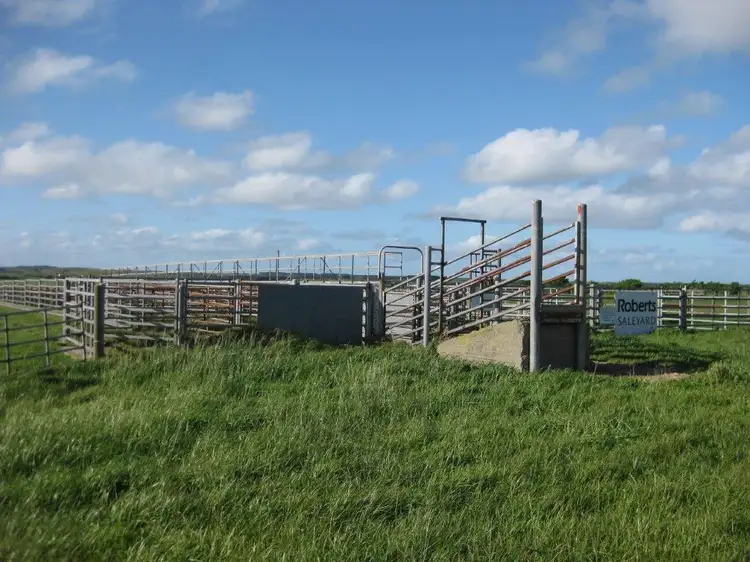 Main view of Homely rural property listing, . Stricklands Road, Loorana TAS 7256