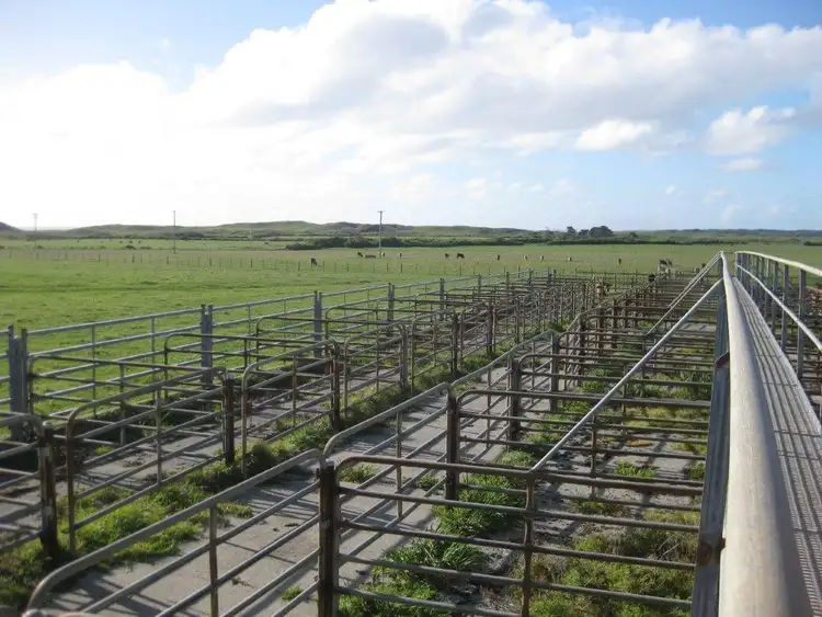 Sixth view of Homely rural property listing, . Stricklands Road, Loorana TAS 7256