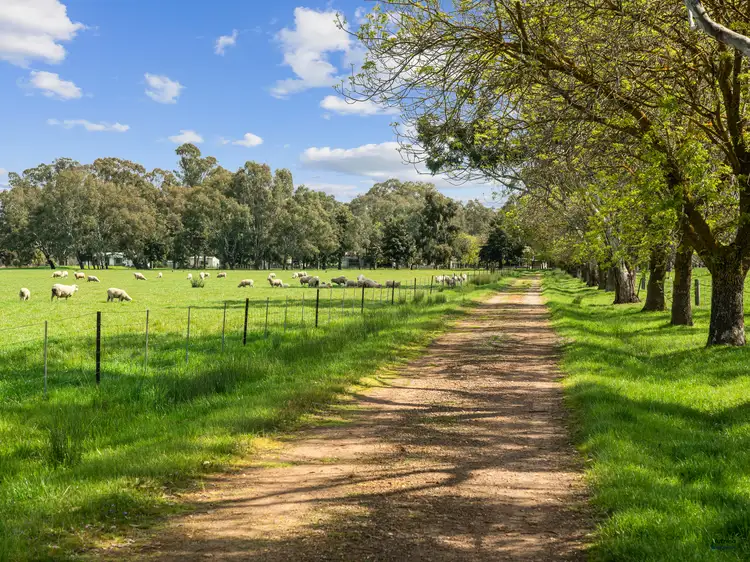 Main view of Homely rural property listing, 359 Goomalibee Rd, Benalla VIC 3672