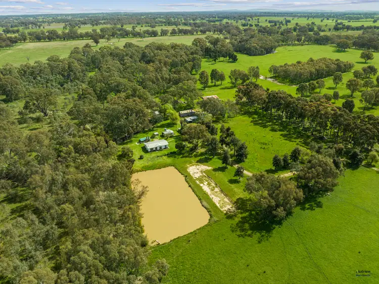 Third view of Homely rural property listing, 359 Goomalibee Rd, Benalla VIC 3672