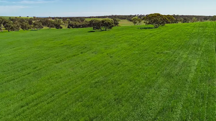 Sixth view of Homely rural property listing, 1349 Heinrich Road, Culburra SA 5261