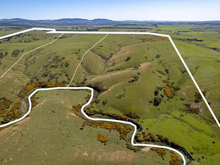 Main view of Homely rural property listing, Lot 1 Odwyers Road, Forbes VIC 3764