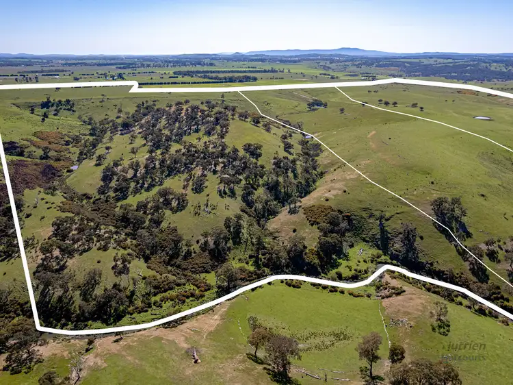 Second view of Homely rural property listing, Lot 1 Odwyers Road, Forbes VIC 3764