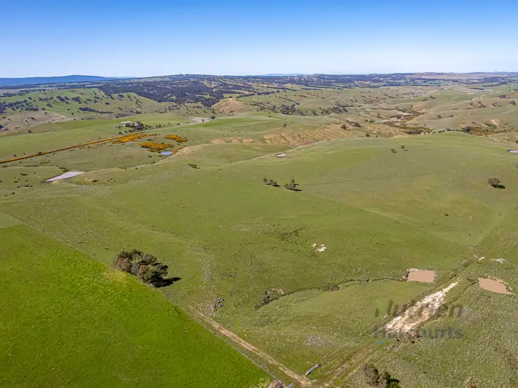 Fourth view of Homely rural property listing, Lot 1 Odwyers Road, Forbes VIC 3764