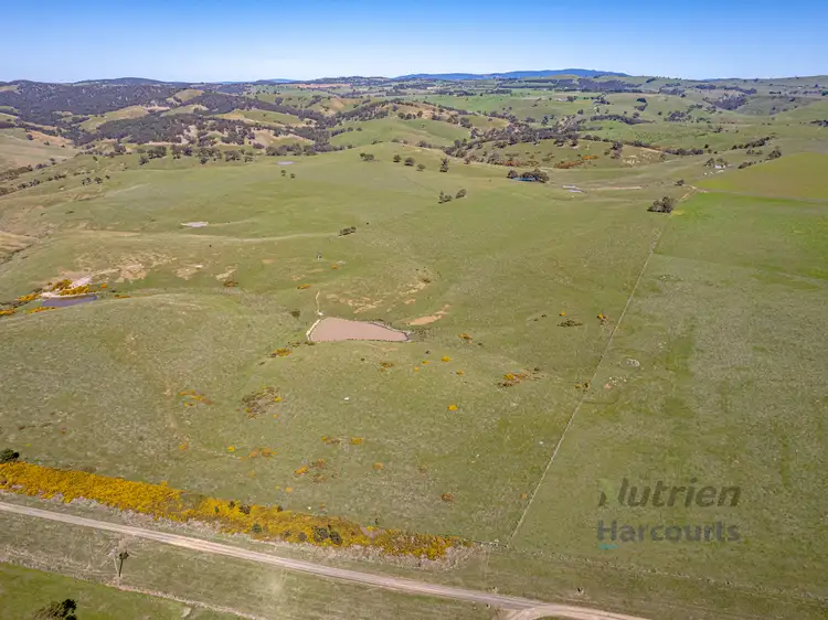 Fifth view of Homely rural property listing, Lot 1 Odwyers Road, Forbes VIC 3764