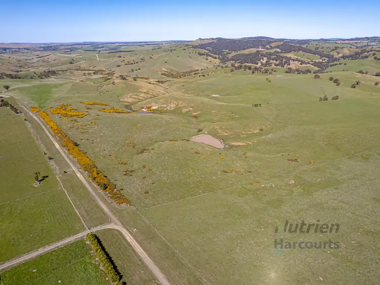 Sixth view of Homely rural property listing, Lot 1 Odwyers Road, Forbes VIC 3764