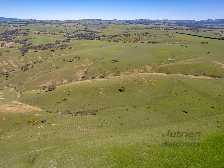 Seventh view of Homely rural property listing, Lot 1 Odwyers Road, Forbes VIC 3764