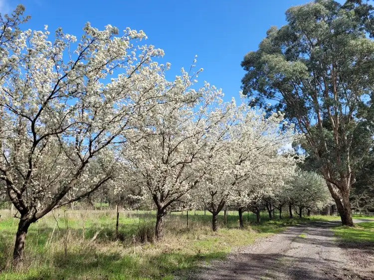 Sixth view of Homely rural property listing, 153 Christies Road, Thornton VIC 3712