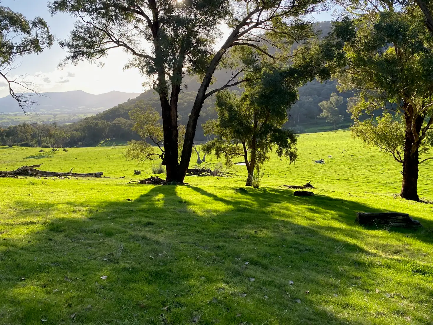 Main view of Homely rural property listing, . Gap Flat Road, Allans Flat VIC 3691