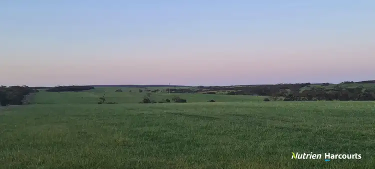 Third view of Homely rural property listing, 674 Monjebup Road, Boxwood Hill WA 6338