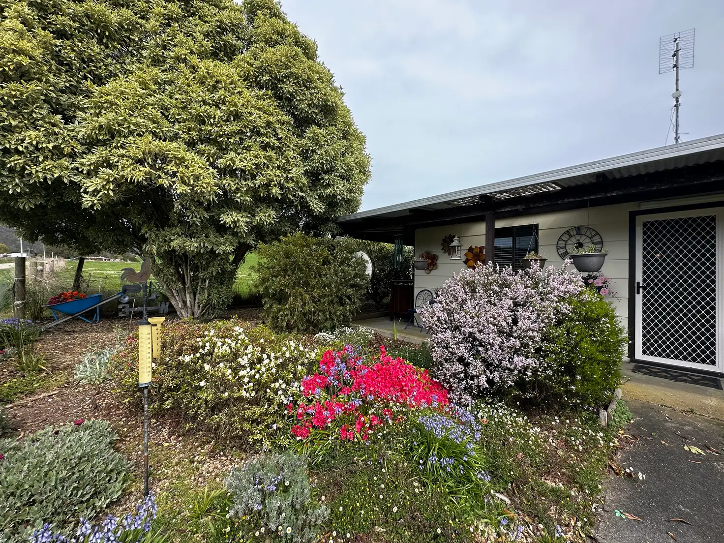 Main view of Homely house listing, 96 Kohls Road, Pyengana TAS 7216