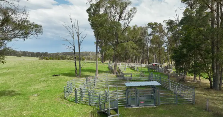 Second view of Homely rural property listing, 9 Mackiesons Road, Buchan South VIC 3885