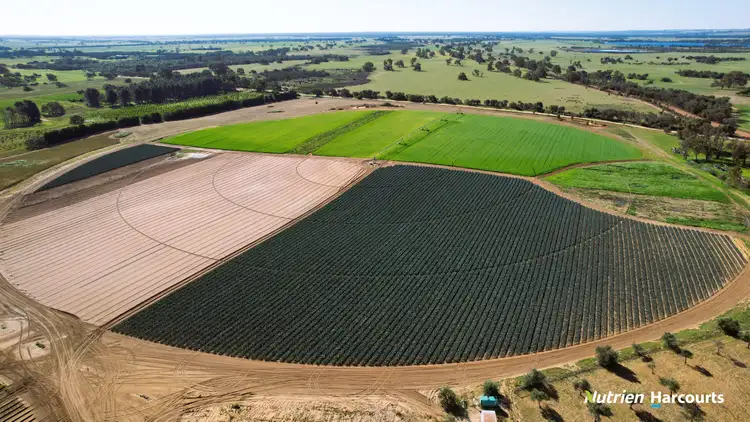 Second view of Homely rural property listing, 214 Beermullah Road, Beermullah WA 6503