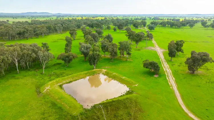 Sixth view of Homely rural property listing, 135 Jacka Lane, Holbrook NSW 2644