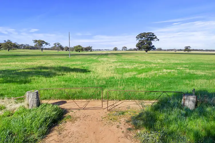 Sixth view of Homely rural property listing, . McNamara Road, Toolleen VIC 3551