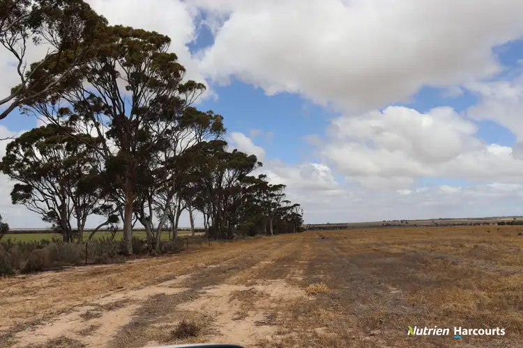 Fourth view of Homely rural property listing, 99 Avery Road, Manmanning WA 6465