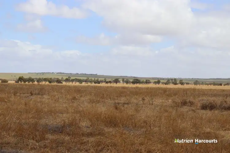Sixth view of Homely rural property listing, 99 Avery Road, Manmanning WA 6465