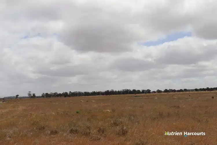 Seventh view of Homely rural property listing, 99 Avery Road, Manmanning WA 6465