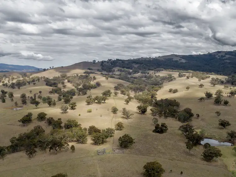 Main view of Homely rural property listing, "Nelson's" Stock Route Rd, Blandford NSW 2338