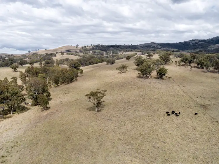 Second view of Homely rural property listing, "Nelson's" Stock Route Rd, Blandford NSW 2338