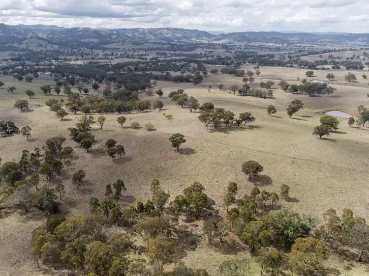 Third view of Homely rural property listing, "Nelson's" Stock Route Rd, Blandford NSW 2338